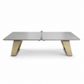 Ping Pong Table