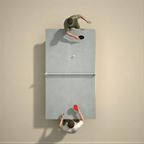 Ping Pong Table